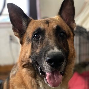 Meet your Posher, Jonathan